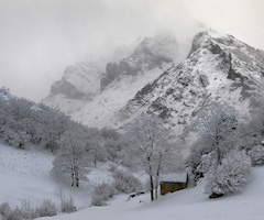 La nieve amenaza la recaudación de las subastas de caza en Picos de Europa